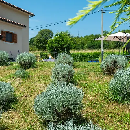 Villa Activity And Familiy Milena With Heated Pool *